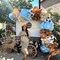 Cow Print Balloons Set, 12Inch 60pcs Blue Brown Cow Balloons Cow Print Balloons Cow and Brown Blue Balloons(Blue Brown)